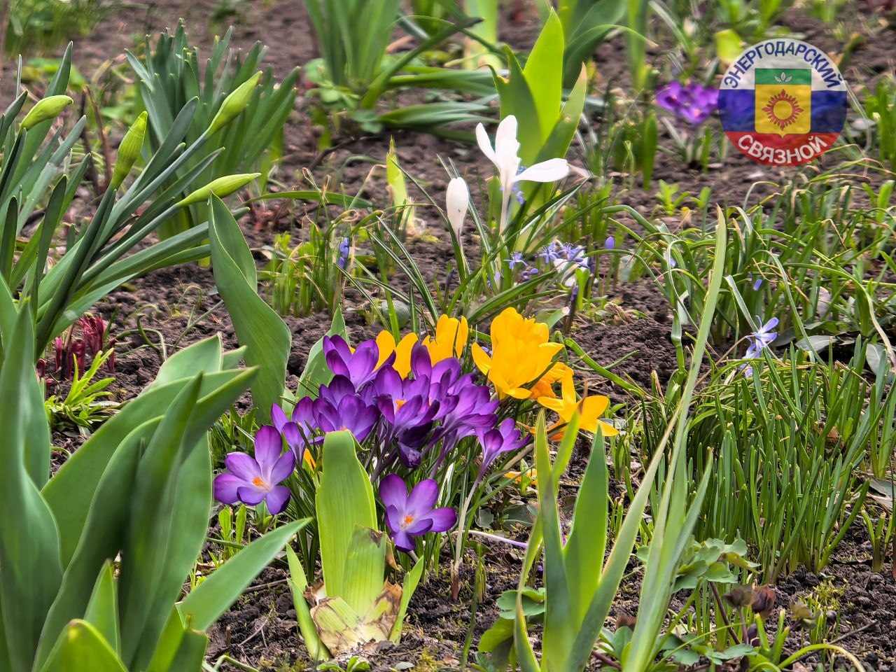 Доброе утро. Для хорошего начала дня необходима бодрость