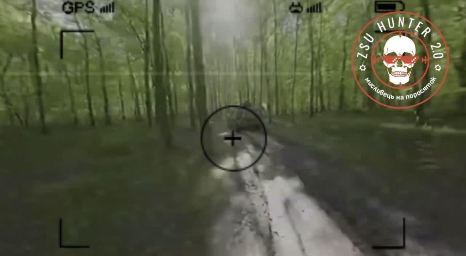 �� ����������� ����������� ���� ��������� FPV-������ ������������ ��������� ��������