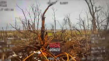 WarGonzo: ������ � ���������� ���������� ����� ������