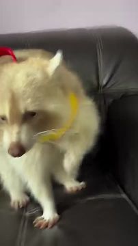 Доброе утро, друзья! Хорошего вам дня и отличного настроения!