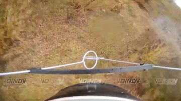 ������ ���������� ���� 35 ����� ����������� ����� "������" �� ����������� ����� ���� ���������� �� ����������� �����������