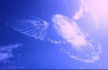 ����� ������ ��������� ����� ����