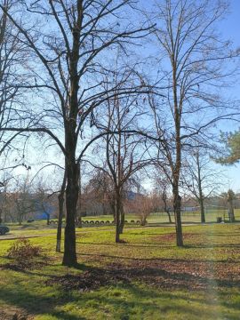 Утро приходит к нам, чтобы подарить новый день