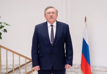 �������� ����������� ������������� ���������� ��������� ��� ������������� ������������ � ���� �.�.�������� (31 ����� 2026 ����)