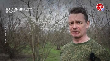 ��������� ���������� �� ������ ������ � ������� ��������� � ��������� ��� ����� | 31 �����