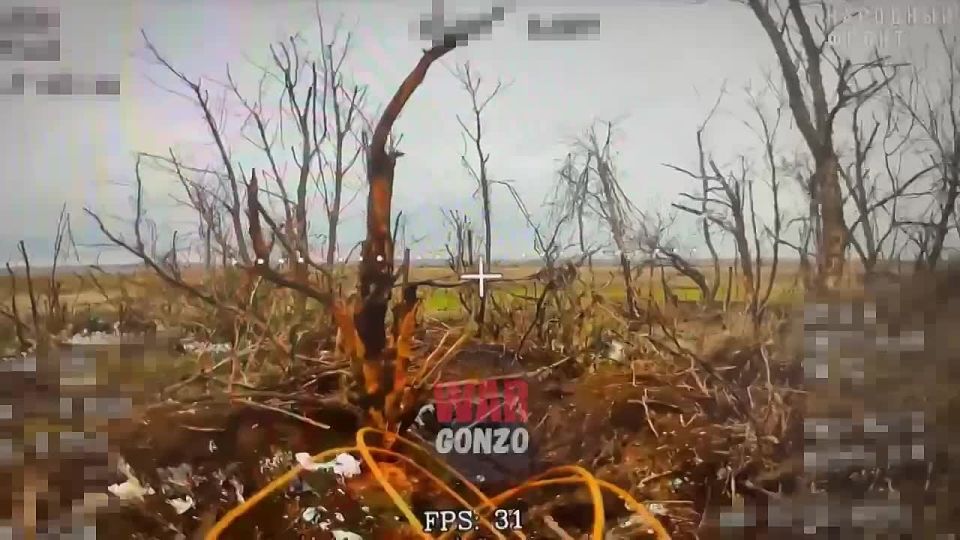 WarGonzo: ������ � ���������� ���������� ����� ������