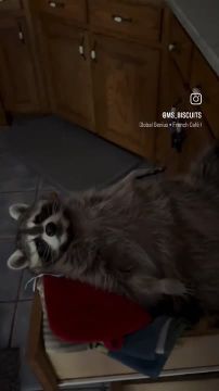 ������ ����, ������� ����������! ������ ����, ���������!