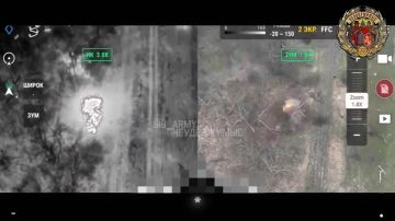 ������� ����� ���������, ��������� ������ �������� �������, ����� �������� ���������� �� ������� 35 ����� � ������ �������