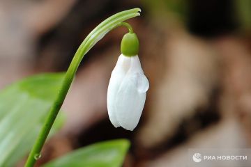 Погода на новых территориях России
