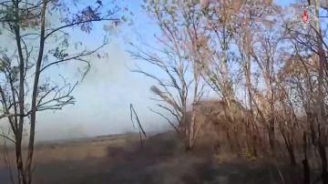 ����� �� ��������. ������������ ����������� ������� ����� �� ���������� ������ �������� ���������� ����������� ����� ����������� � ����������� �������