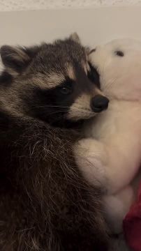 ������ ����, ������� ����������! ������ ����, ���������!