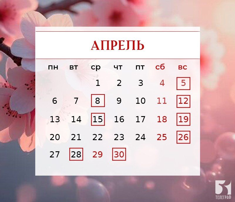 � 1 ������, ����������� �������!