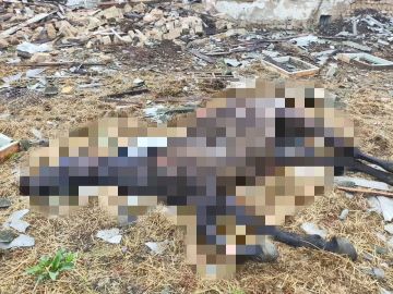 �������� �� ������ �����.. ����� ������� ��������� ��������, ������� �������� ����� ���������������� � �����������. ����-��������� ����� ���� �� ������ �����, � � ���������� ����� ����������� ���� ������� ��� ������