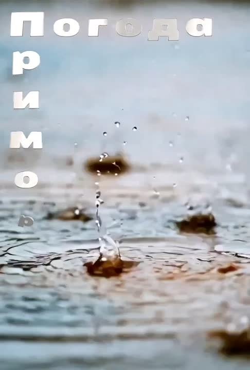 Погода Приморск (Приморский район), 01.04.2026