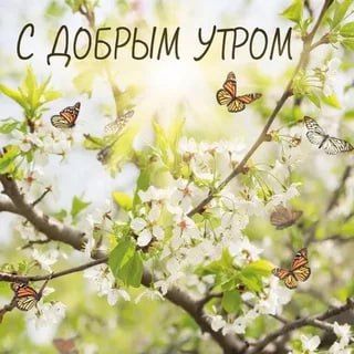 � ������ ����� ������������