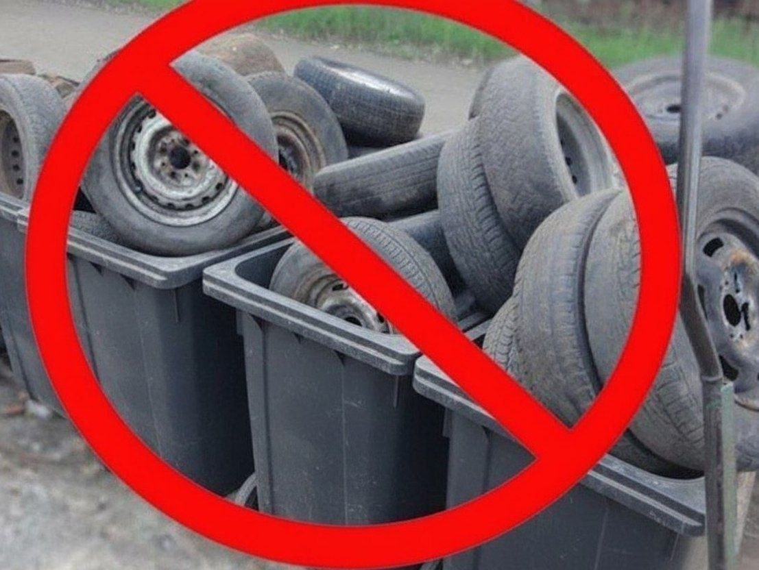 Как «переобуться» без вреда для планеты