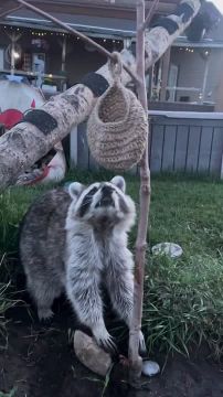 ������ ����, ������! �������� ��� ��� � ��������� ����������!