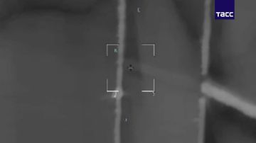 ��������� ������� FPV-������ ����������� ����� "������" ������� ���������� ���������� � ����������� �������, �������� � �� ��