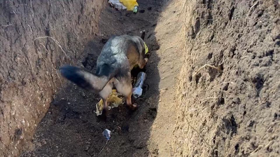 ������� ������� � ����������: � ����������� ������ ������ ����������