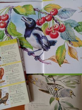 ������� ����������. �������� 1 ������ �� ������ ������� ���� ���������� ����� ������ ����������������� ������������� �������� �� ����� ������� � ������������� ���� ����