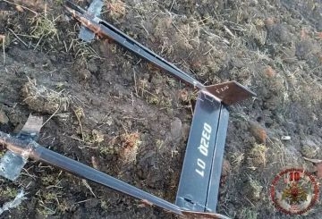 �������� �����: � ������������� ����� ������� �� ����������� �������