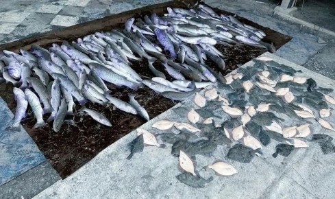 � ����������� ������� ������� ������ ��������� ������� ���� �� 130 ����� ������