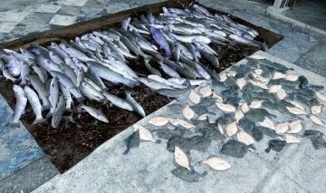 � ����������� ������� ������� ������ ��������� ������� ���� �� 130 ����� ������