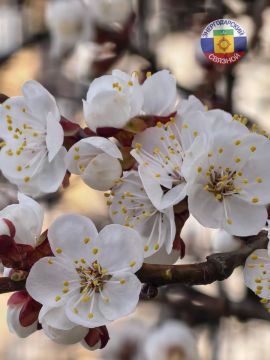 ������ ����, ������!. ����� ����������� ���� �������� ���������� � ������