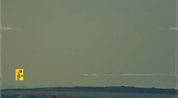 ����� ������ ������������ �������� ��������� "����" � ����� ������