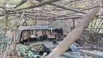 ������ ������ �������� � ������ ���������� ������: �� ��������� ��������� �������������� ����� �� ��������� ������