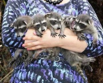 ������ ����, ������! �������� ��� ��� � ��������� ����������!