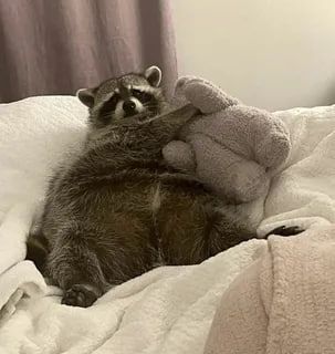 ������ ����, ������� ����������! ������ ����, ���������!