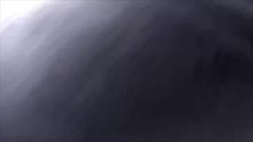 ��� �������� ����� �������� � ���� ������ � ����������� �� ����������� �������