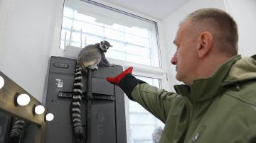 � ������ ������������ ��������� ������ �� ��������