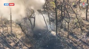 ���������� ��������� ������� ����� ��� � ����������� �������