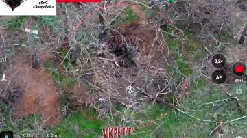 ����������� ����� ���������� �����������