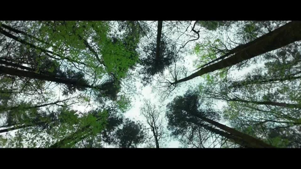 ������������ ������ �������������� ������������: ����� ����������� ��� �������� ������� � ����������