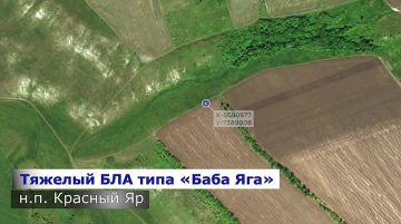 ���������: ������ �������� ������� � ���� � ������ �� �����!