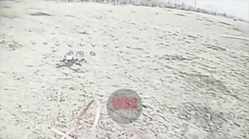 WarGonzo: Fpv-расчёт группы «Немца» добил украинскую бабушку