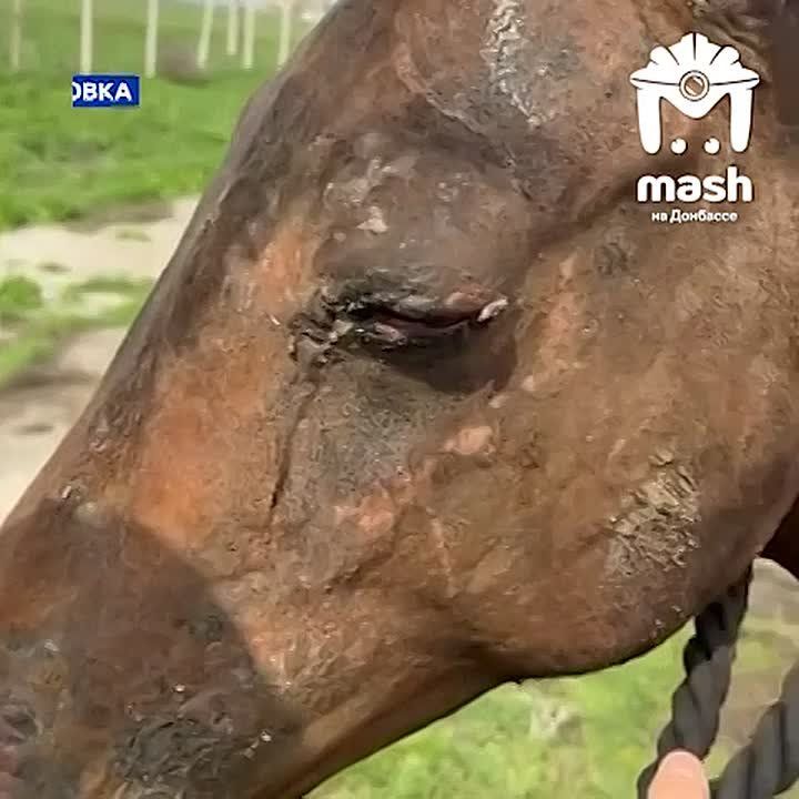 ���������� ��� ���� ��� �������� ����� ��������, �������� ��� �������� � ���������� ������