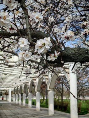 Максим Пухов: #НашЭнергодар