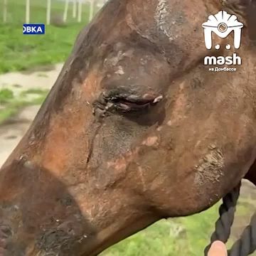 ���������� ��� ���� ��� �������� ����� ��������, �������� ��� �������� � ���������� ������