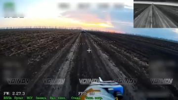 Владислав Шурыгин: Боевая работа операторов БпЛА 14 гвардейской бригады спецназа ГВ "Восток" на Запорожском направлении