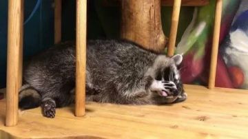 Доброй ночи, дорогие подписчики! Доброй ночи, Запорожье!