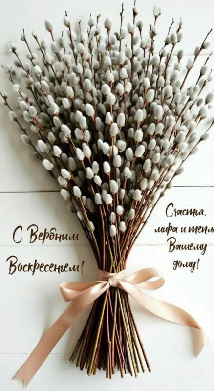 ���� ������: ���������� ���� ������������ �������� � ������� � ������� ������������, � ���� ������� ����������