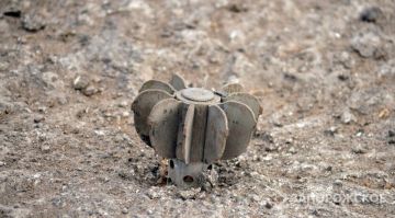 В Токмакском округе 2 человека погибли в результате атаки ВСУ на сельхозтехнику