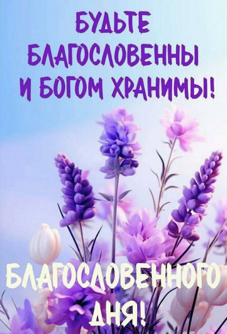 Дорогие жители Черниговского муниципального округа!