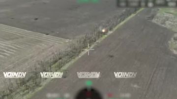 ������ ������ ���������� ���� 36 ����� ����������� ����� "������" �� ����������� ������������, ������� ���������� ���� � ������� ����� ��� �� ����������� �����������