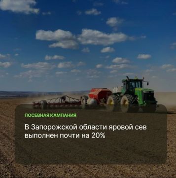 � ����������� ������� ������������ ���������� �������-������� �����