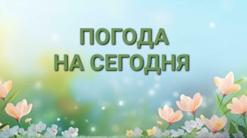 ������� ������ �� �������. � ������������ �������� ��������� �������, 06 ������, ���������: ���� -- +16�